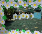 img (3)